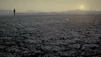 a lone person standing in the middle of a barren field