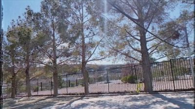 a fence and some trees in a park