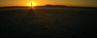 a person standing in the middle of a field at sunset