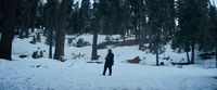 a person standing in the snow near some trees