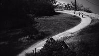 a black and white photo of a dirt road