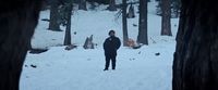 a person standing in the snow near some trees