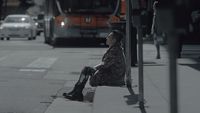 a woman sitting on a sidewalk next to a bus