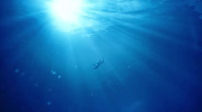 a person swimming in the ocean under the sun