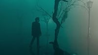 a man standing next to a tree on a foggy day