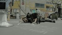 a dog standing next to a person laying on the ground