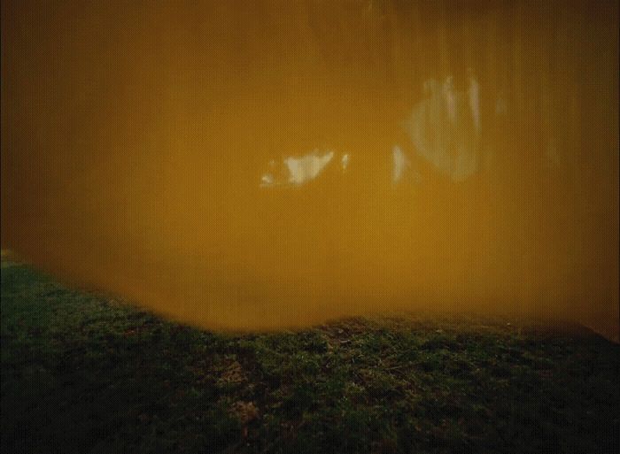 a yellow wall with grass in the foreground