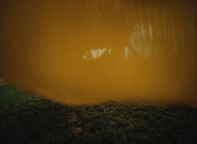 a yellow wall with grass in the foreground