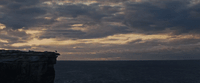 a bird sitting on top of a cliff next to the ocean