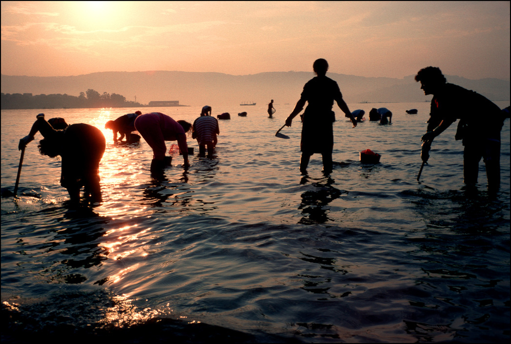 a group of people standing on top of a body of water