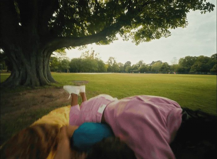 a person laying on a blanket under a tree