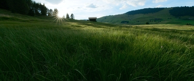 a grassy field with a house in the distance