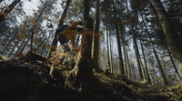 a man riding a mountain bike through a forest