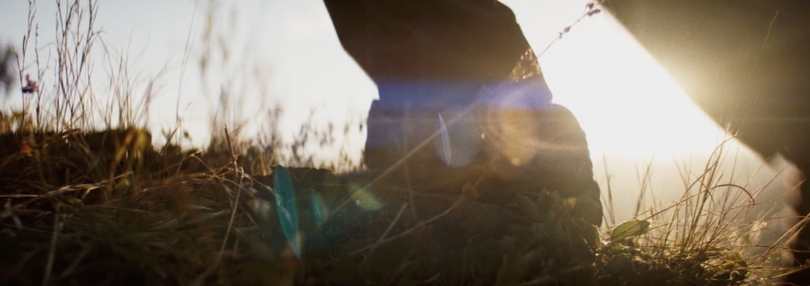 a close up of a person's feet in the grass