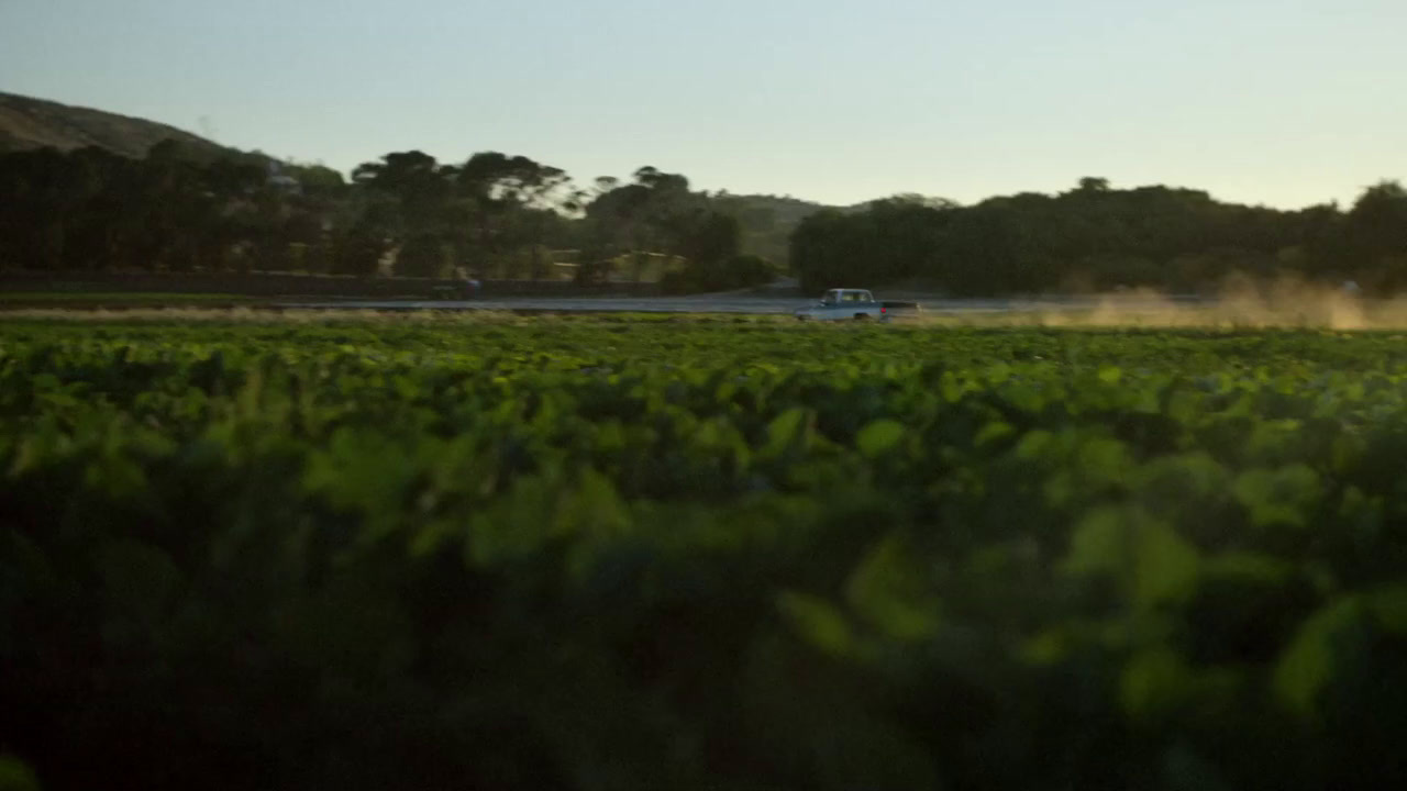 a truck driving through a lush green field