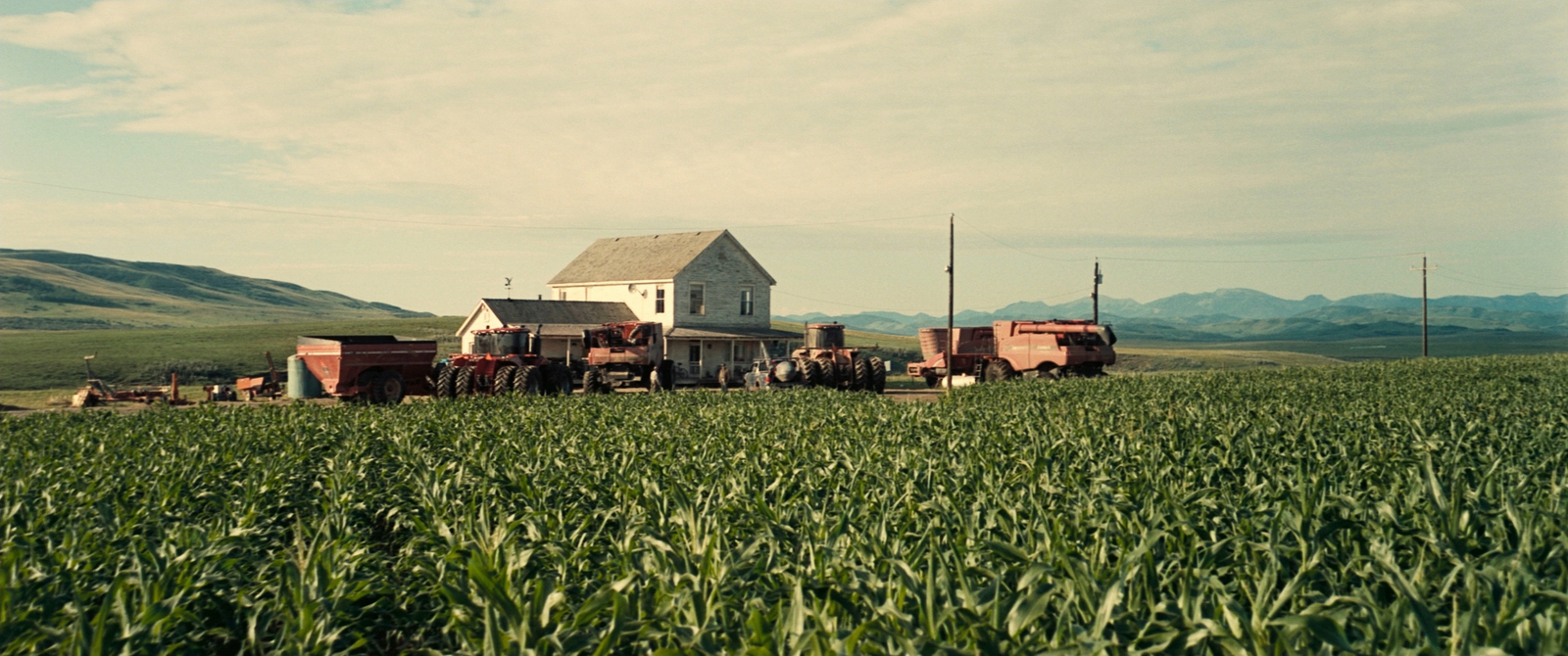 a large field of green grass with a house in the background