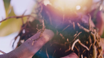 a person's hand reaching for something in the air