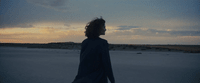 a person standing on a beach at sunset