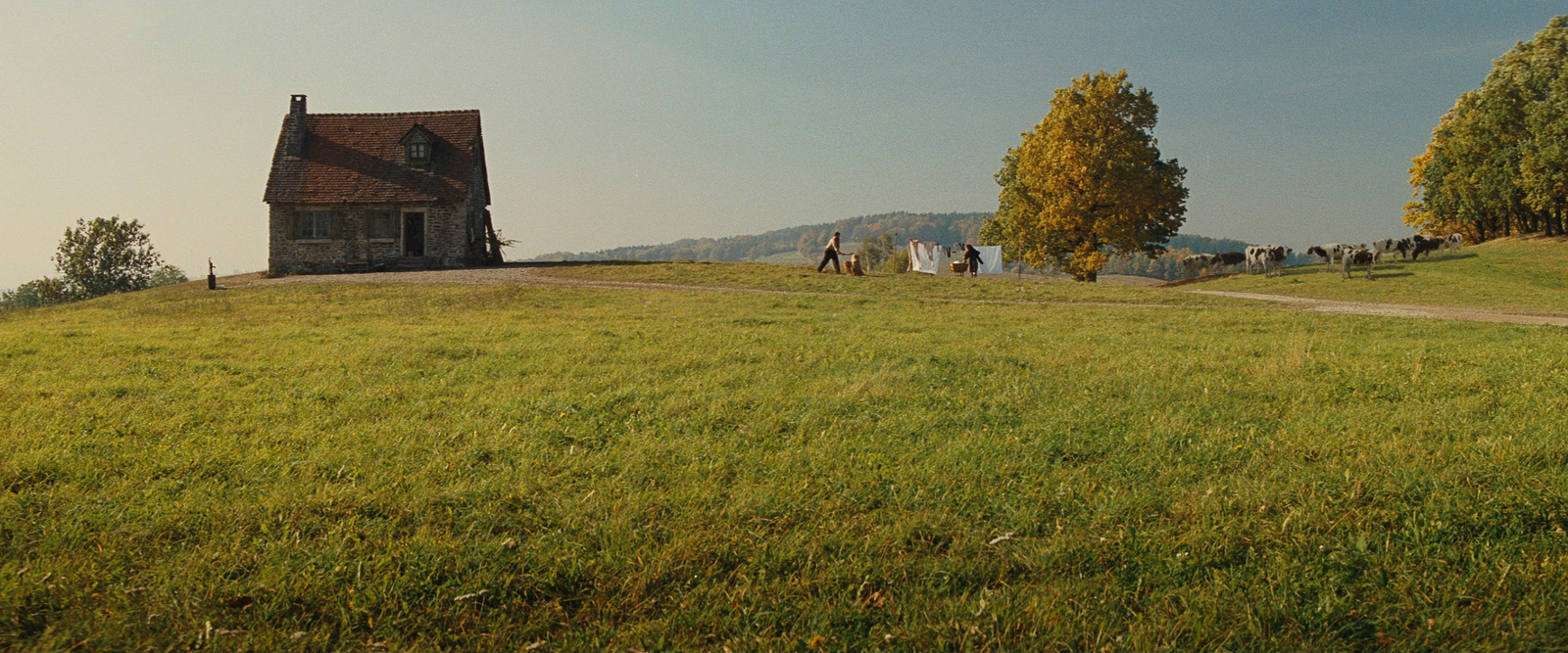 a group of people standing on top of a lush green hillside