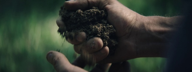 a person holding a handful of dirt in their hands