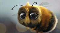 a close up of a bee with big eyes