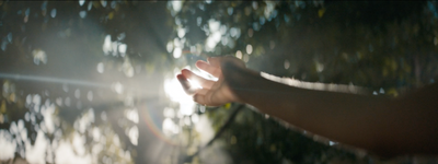 a person holding their hand out in front of a tree