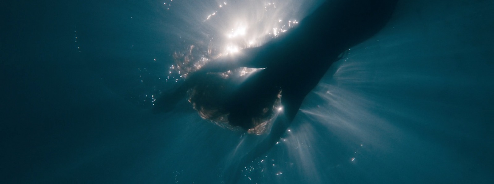 a large black animal swimming in the ocean