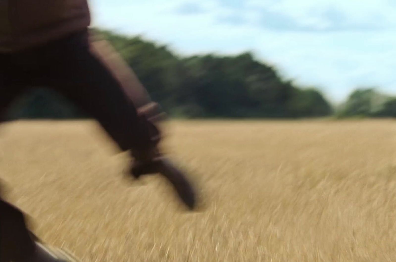 a blurry photo of a person walking through a field