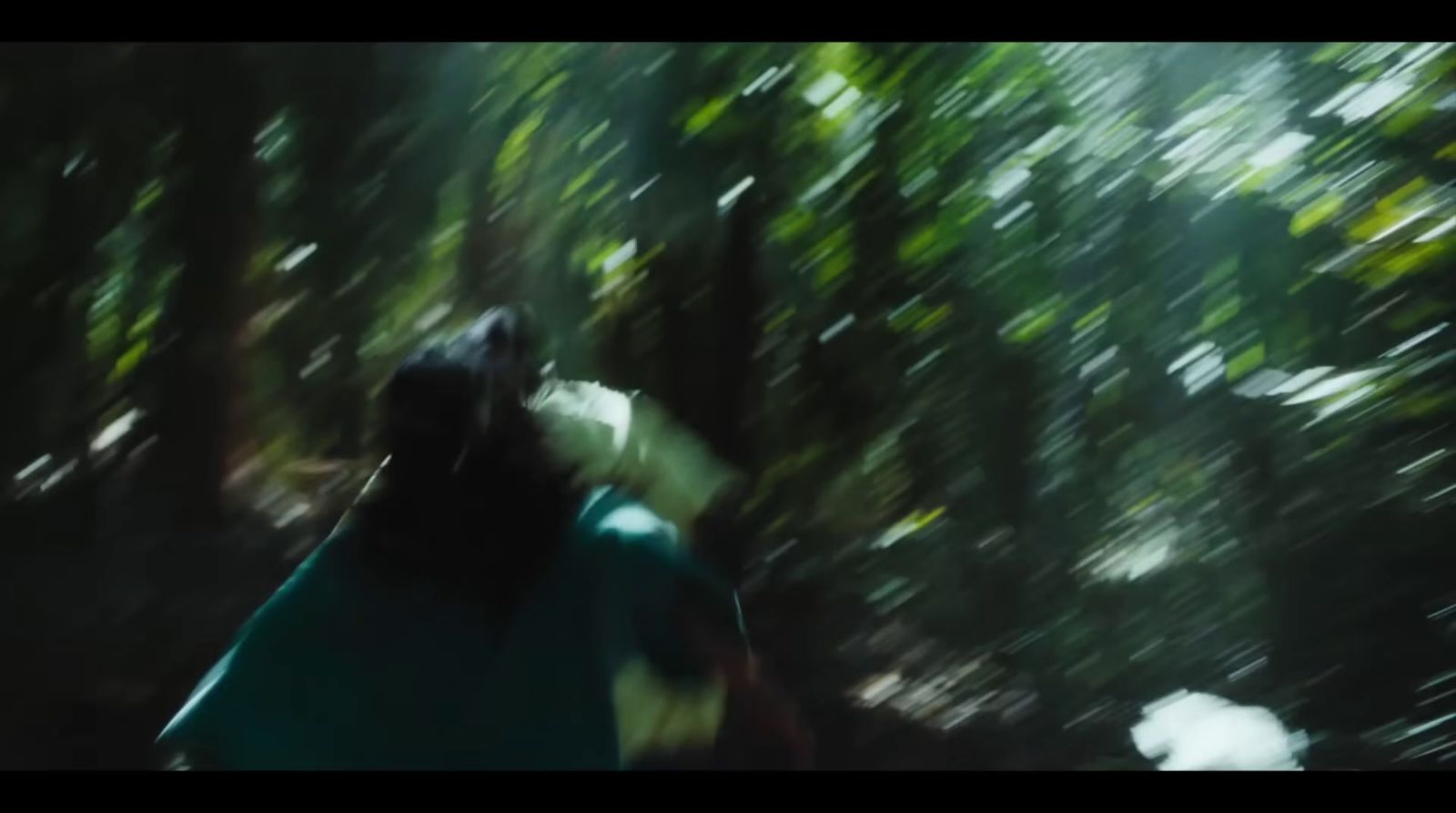 a blurry photo of a person walking through a forest