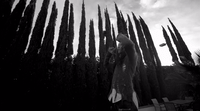 a woman standing in front of a row of tall trees