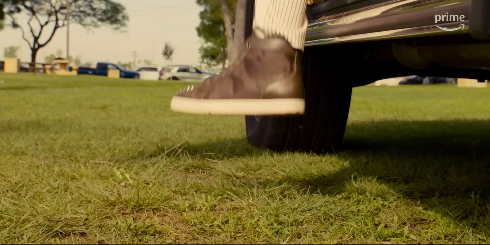 a close up of a person's shoes in the grass