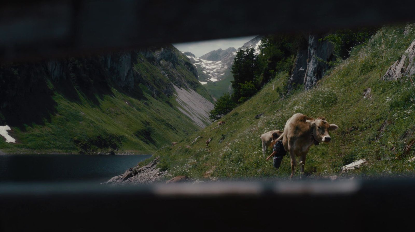 a cow standing on top of a lush green hillside