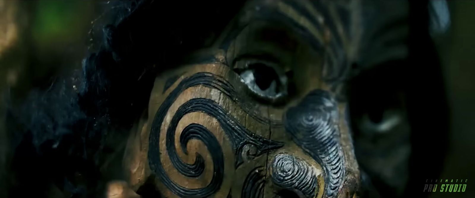 a close up of a person's face wearing a mask