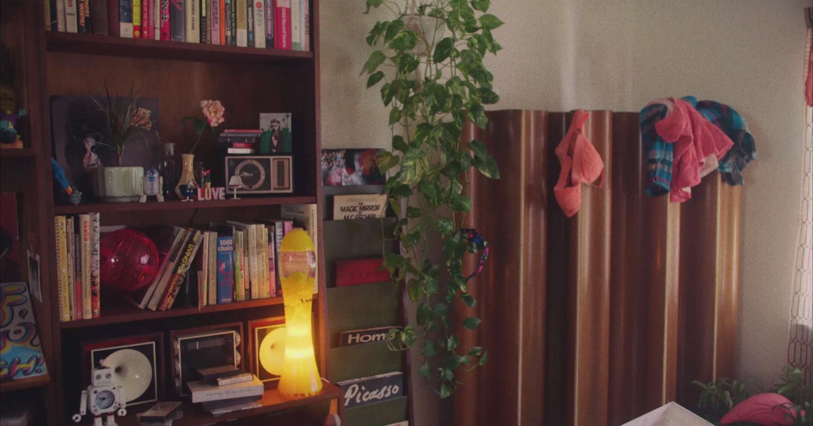 a living room with a book shelf filled with books