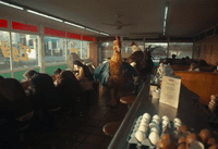 a group of people sitting at a table in a restaurant