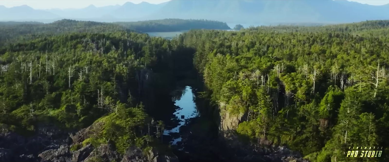 an aerial view of a river surrounded by trees