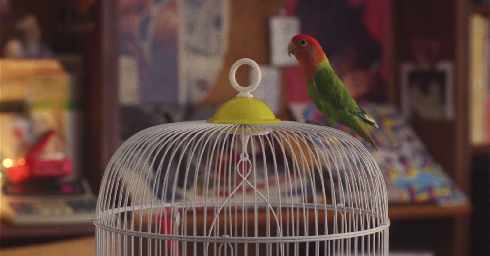 a green and red bird sitting on top of a white birdcage