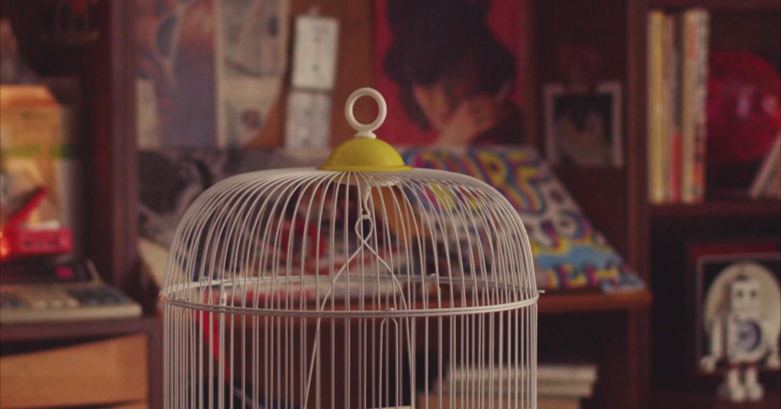 a bird in a cage sitting on a table