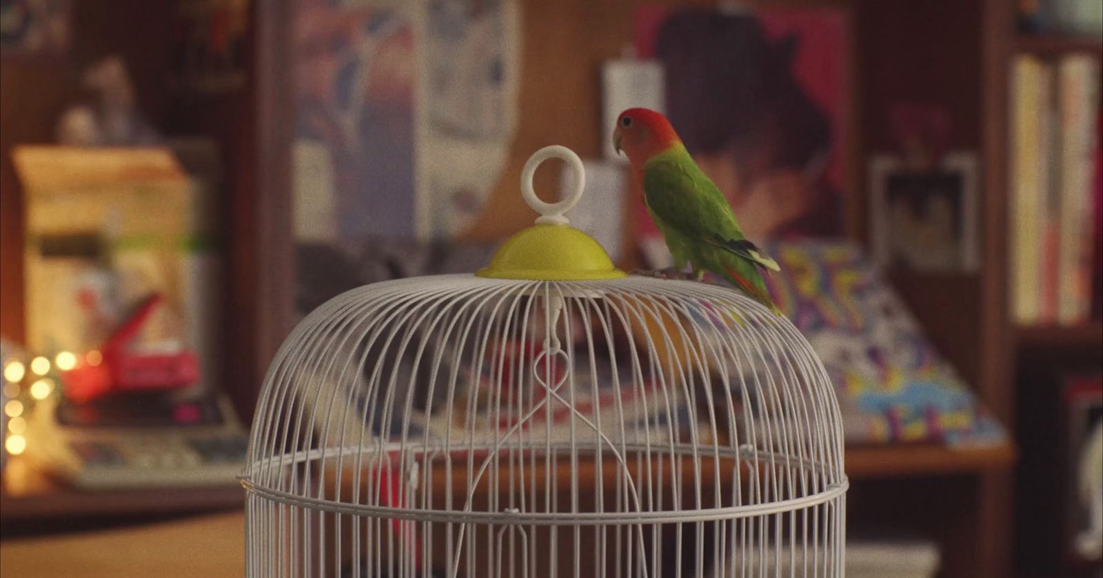 a small bird sitting on top of a white birdcage