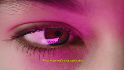 a close up of a person's eye with a pink background