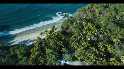 an aerial view of a beach with palm trees