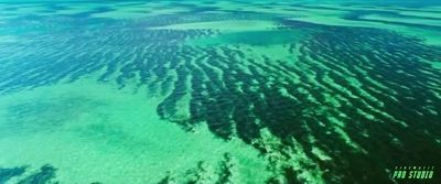 an aerial view of the ocean with a lot of bubbles