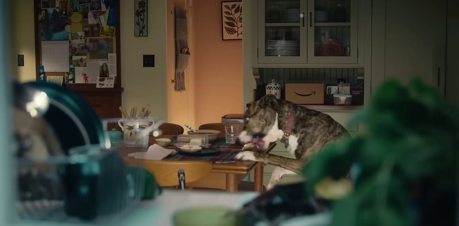 a dog sitting on top of a chair in a kitchen