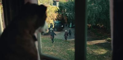 a man standing in front of a window next to a dog