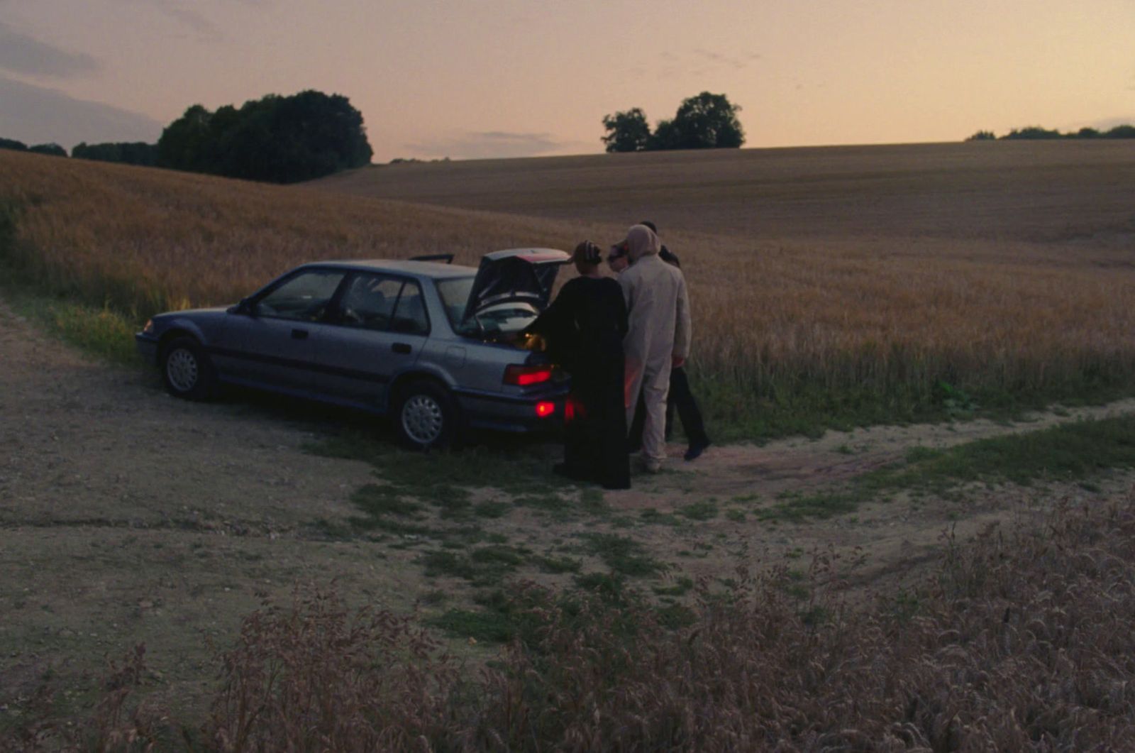 a group of people standing next to a car in a field