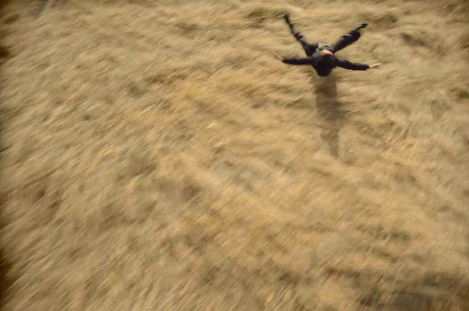 a bird flying over a dry grass field