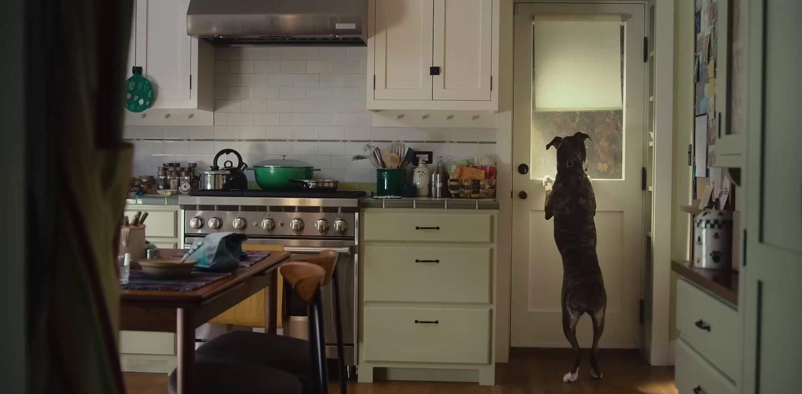 a dog standing on its hind legs in a kitchen