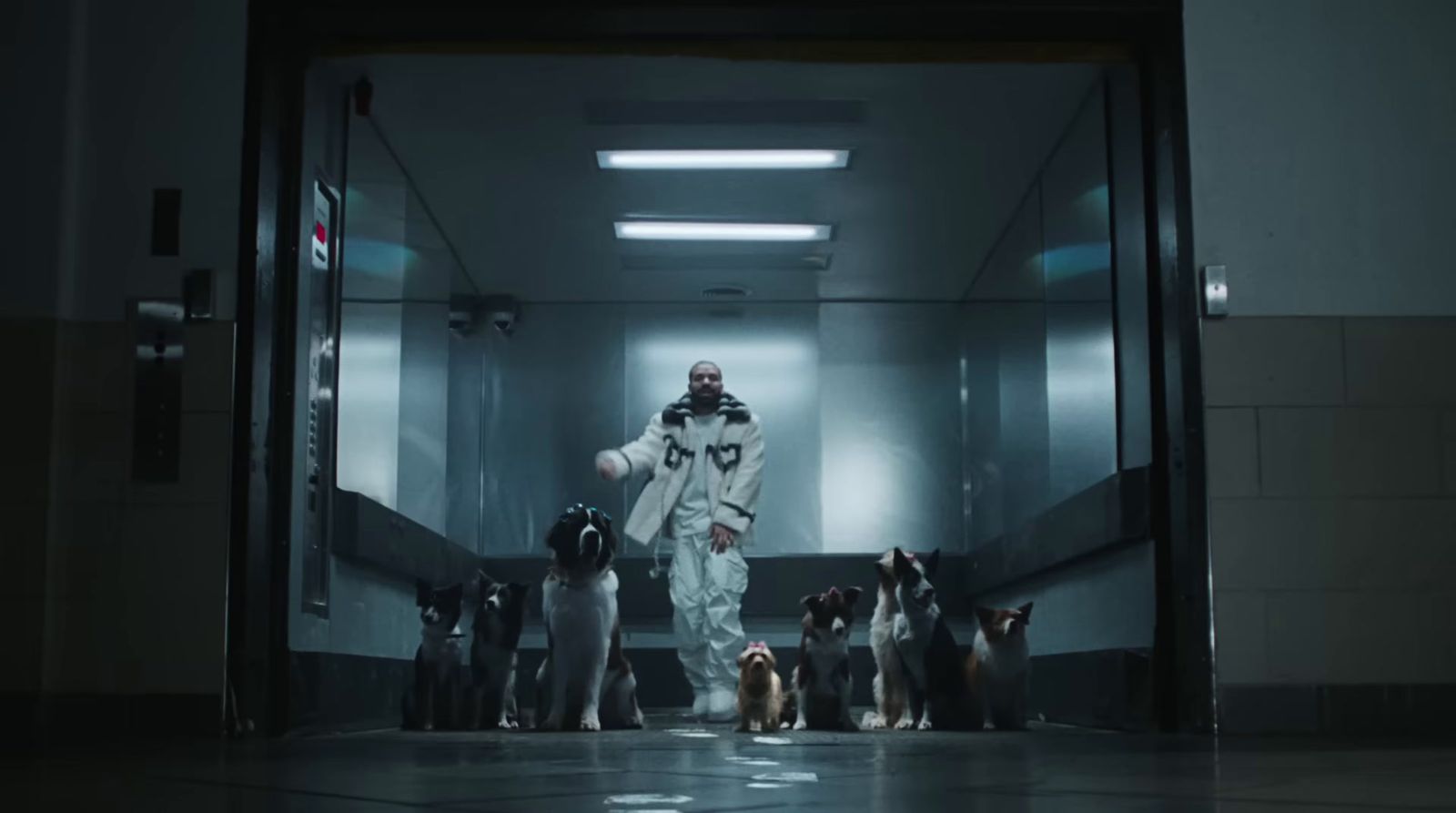 a man standing in a hallway surrounded by dogs