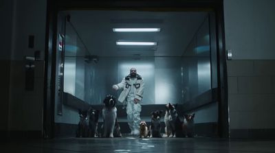 a man standing in a hallway surrounded by dogs