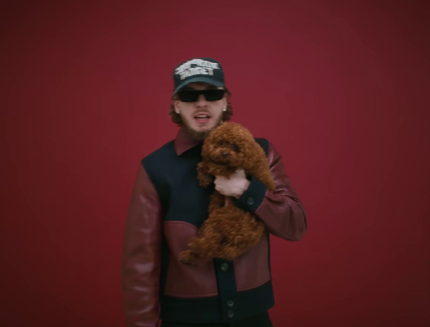 a man holding a brown dog in his arms